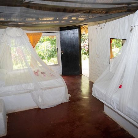 Taironaka Eco Hotel Don Diego 外观 照片