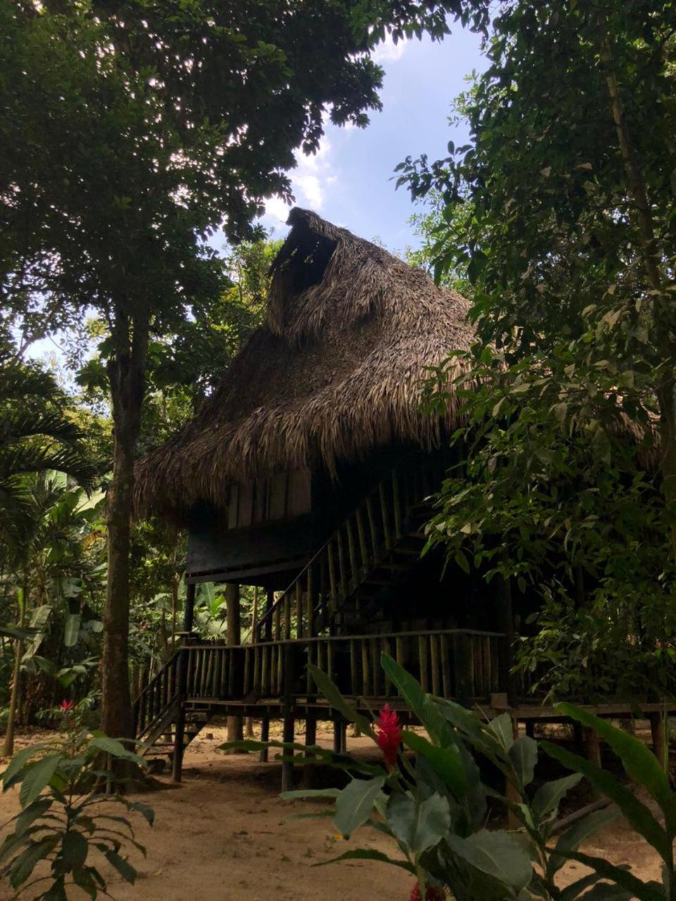 Taironaka Eco Hotel Don Diego 外观 照片