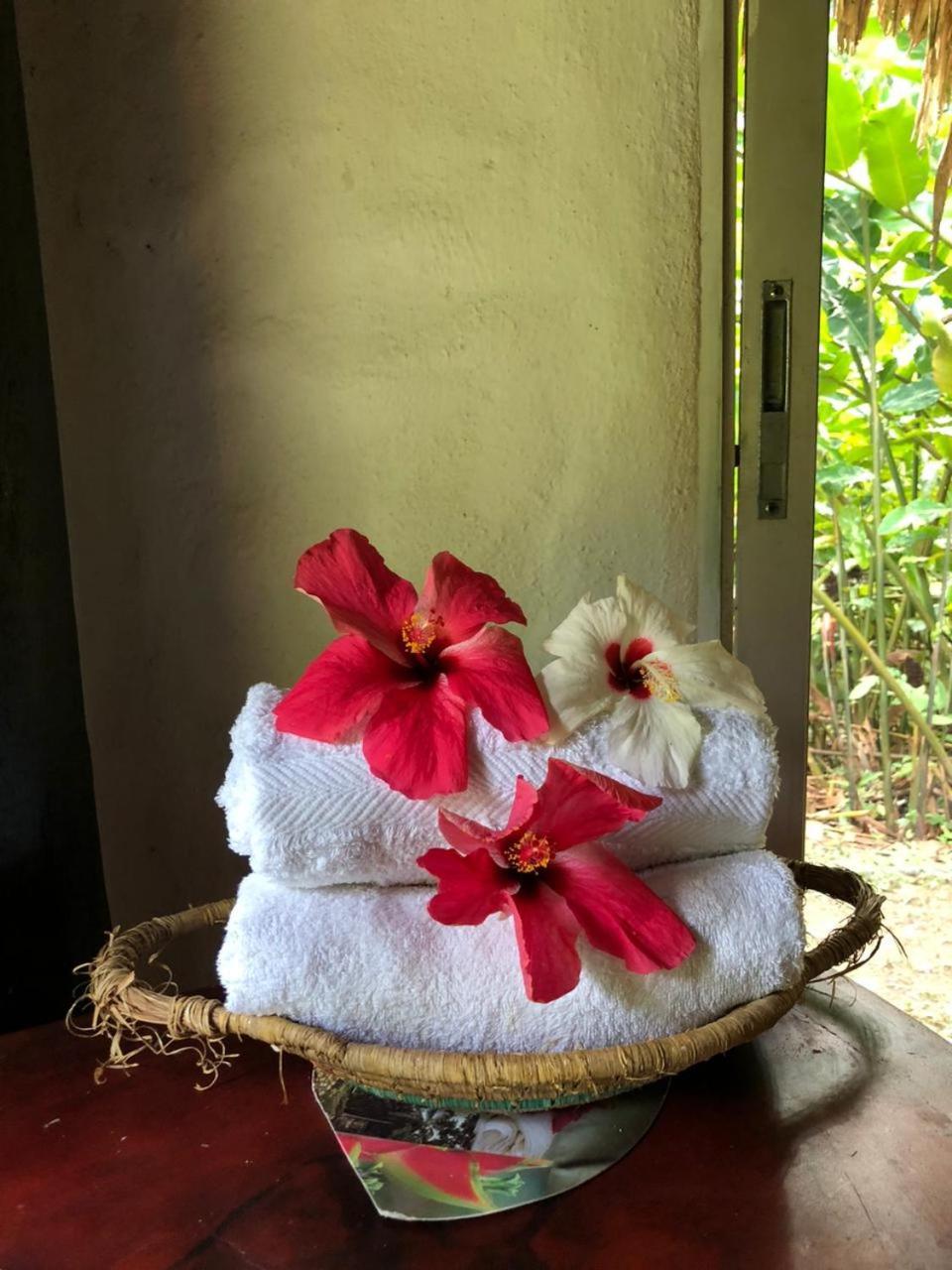 Taironaka Eco Hotel Don Diego 外观 照片