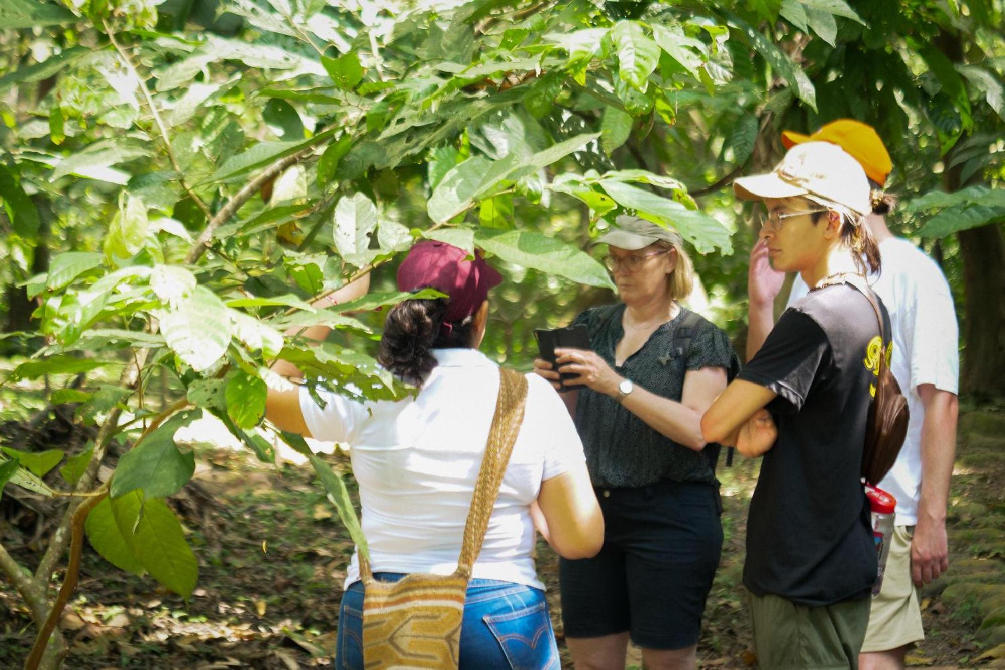 Taironaka Eco Hotel Don Diego 外观 照片