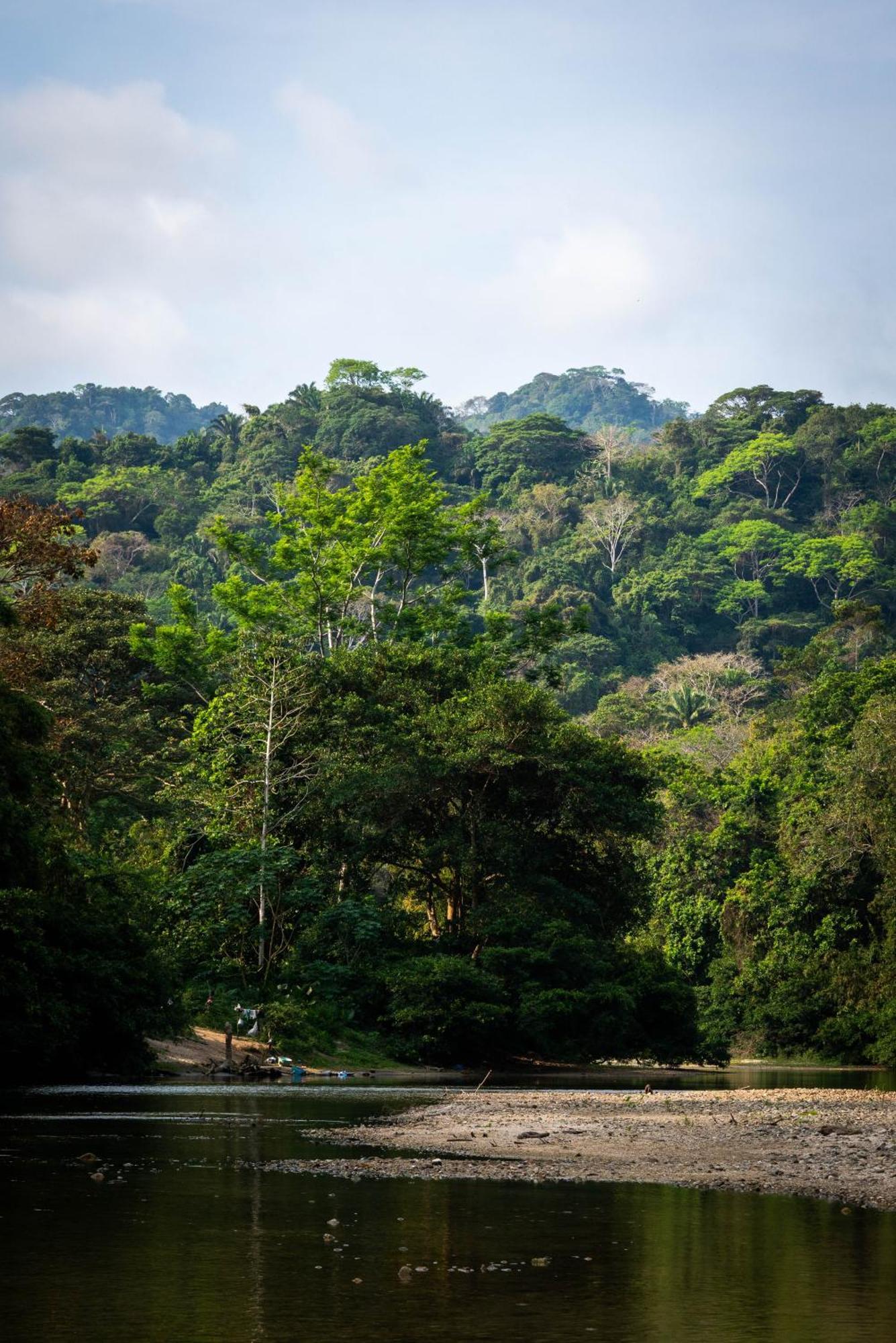 Taironaka Eco Hotel Don Diego 外观 照片