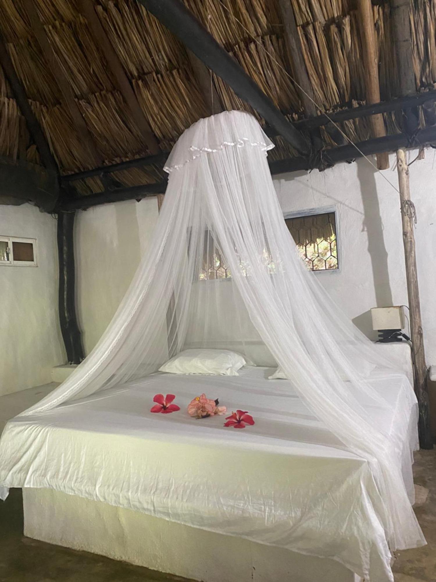Taironaka Eco Hotel Don Diego 外观 照片
